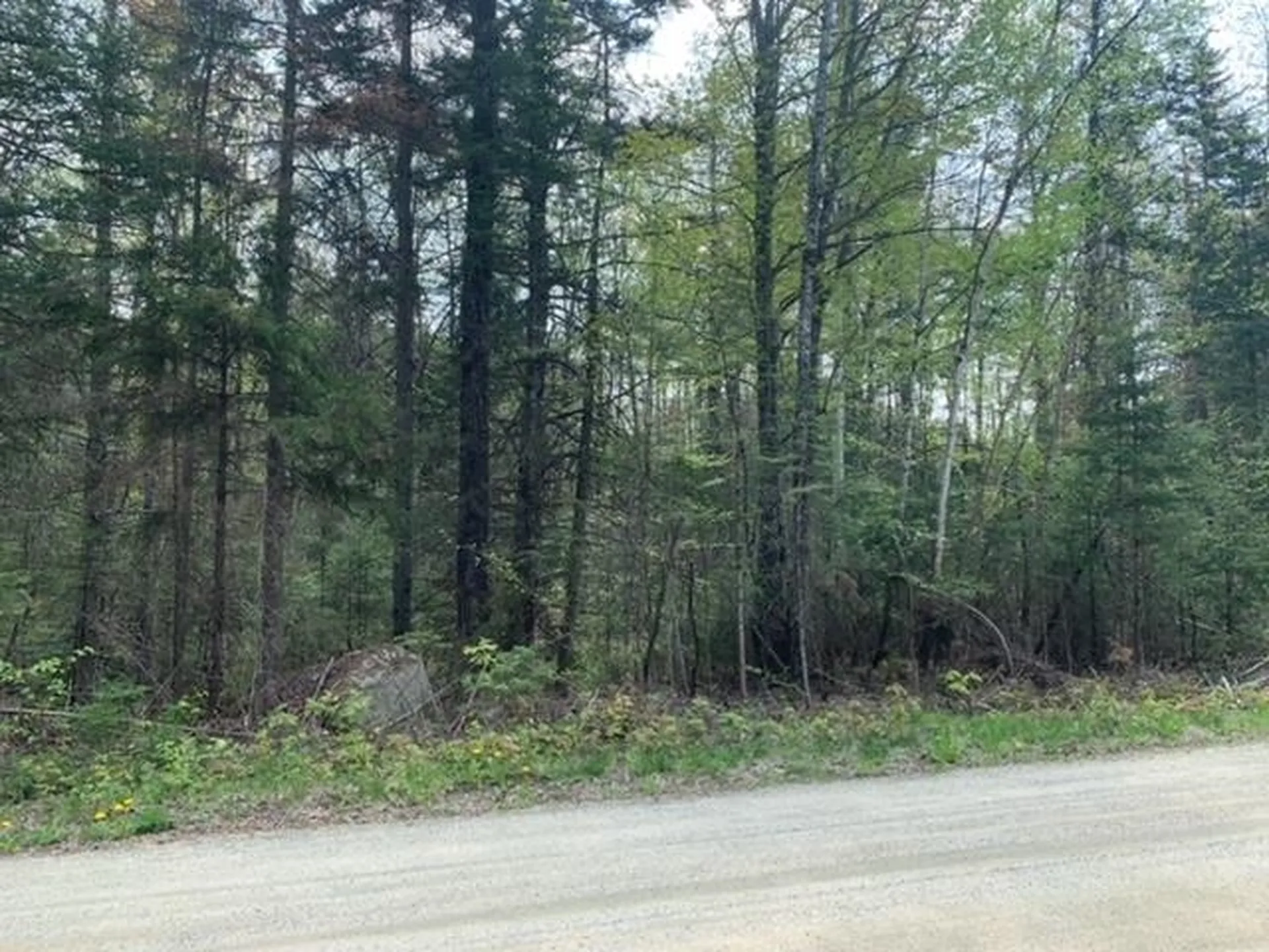 Lot 4 Enman Drive Jefferson NH 03583