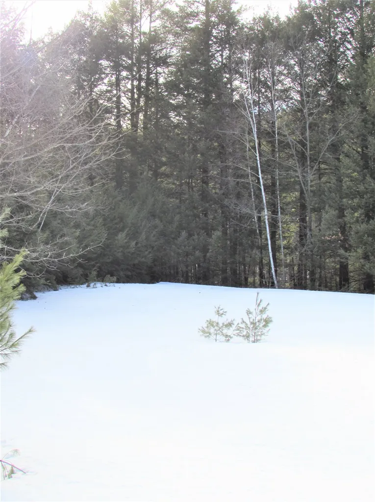44 North Road Deerfield NH 03037