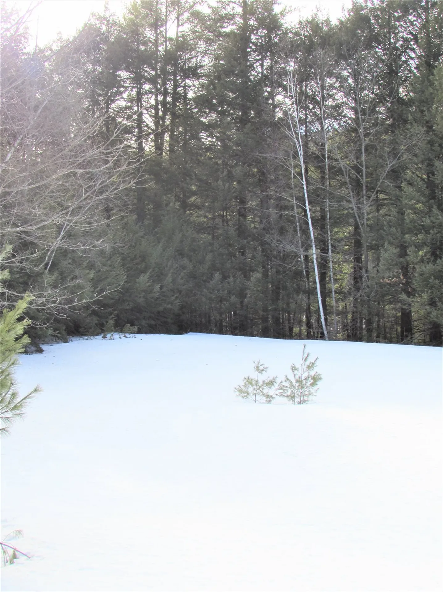 44 North Road Deerfield NH 03037