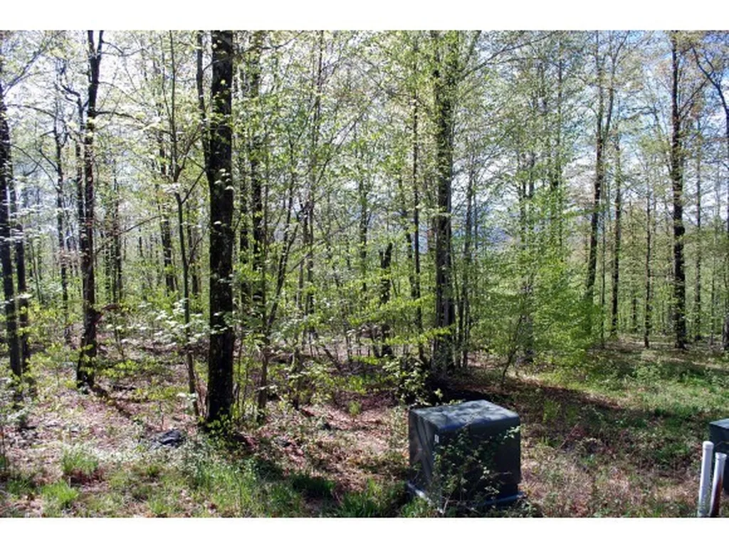 Lot 3 Cider Mountain Road Warren VT 05674