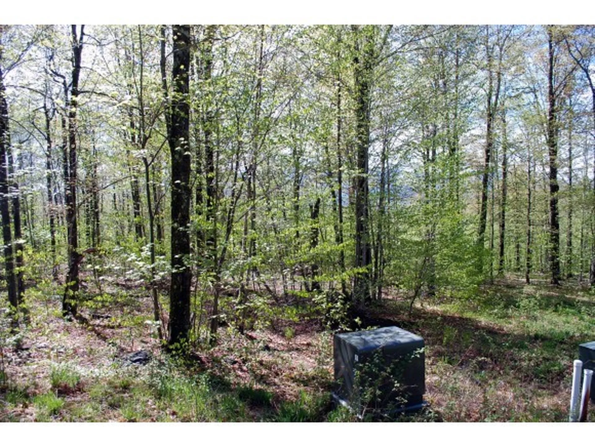 Lot 3 Cider Mountain Road Warren VT 05674
