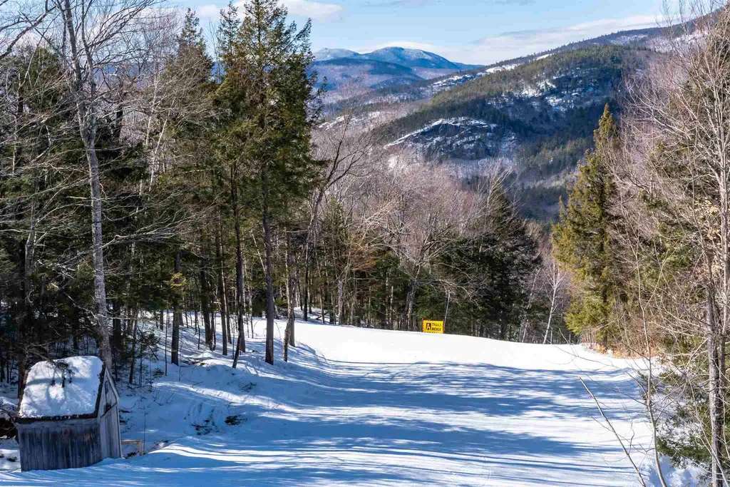32 Ammonoosuc Trail Bartlett NH 03812