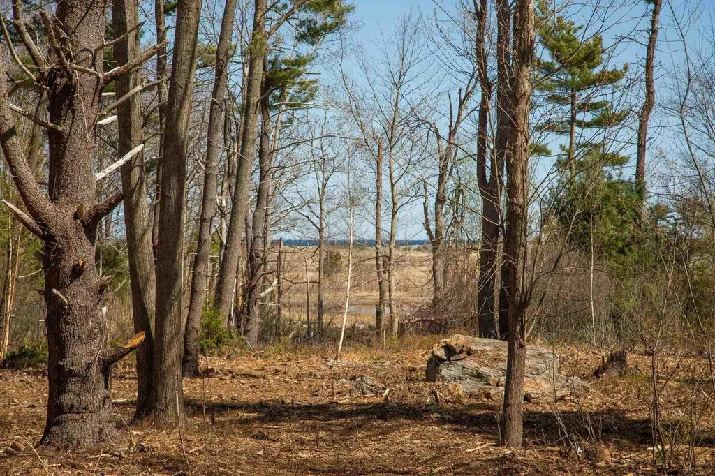 125 Locke Road Rye NH 03870