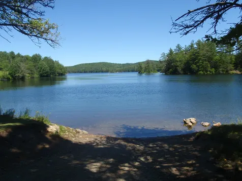 372 Hardy Hill Road Grafton NH 03240