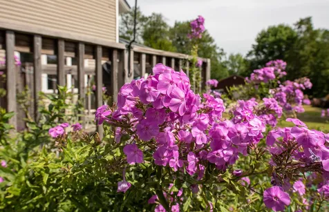 39 Sheldon Road Danbury NH 03230