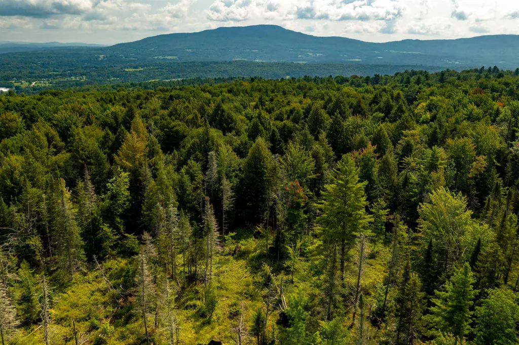 00 Gallup Road Morristown VT 05661