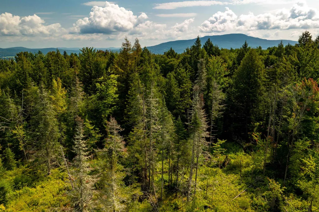 00 Gallup Road Morristown VT 05661