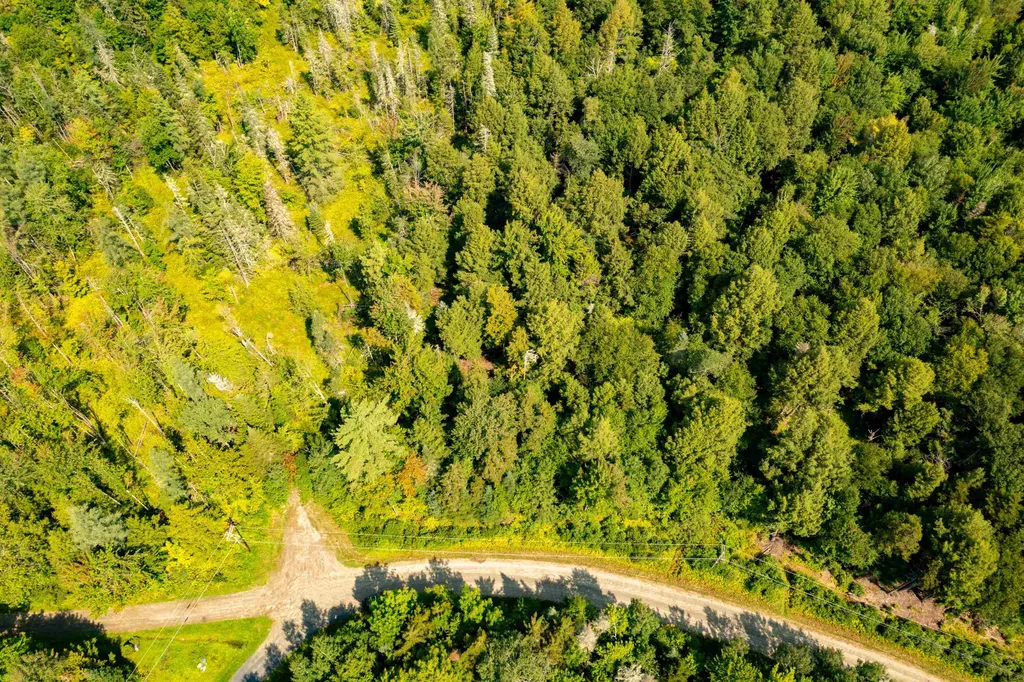 00 Gallup Road Morristown VT 05661