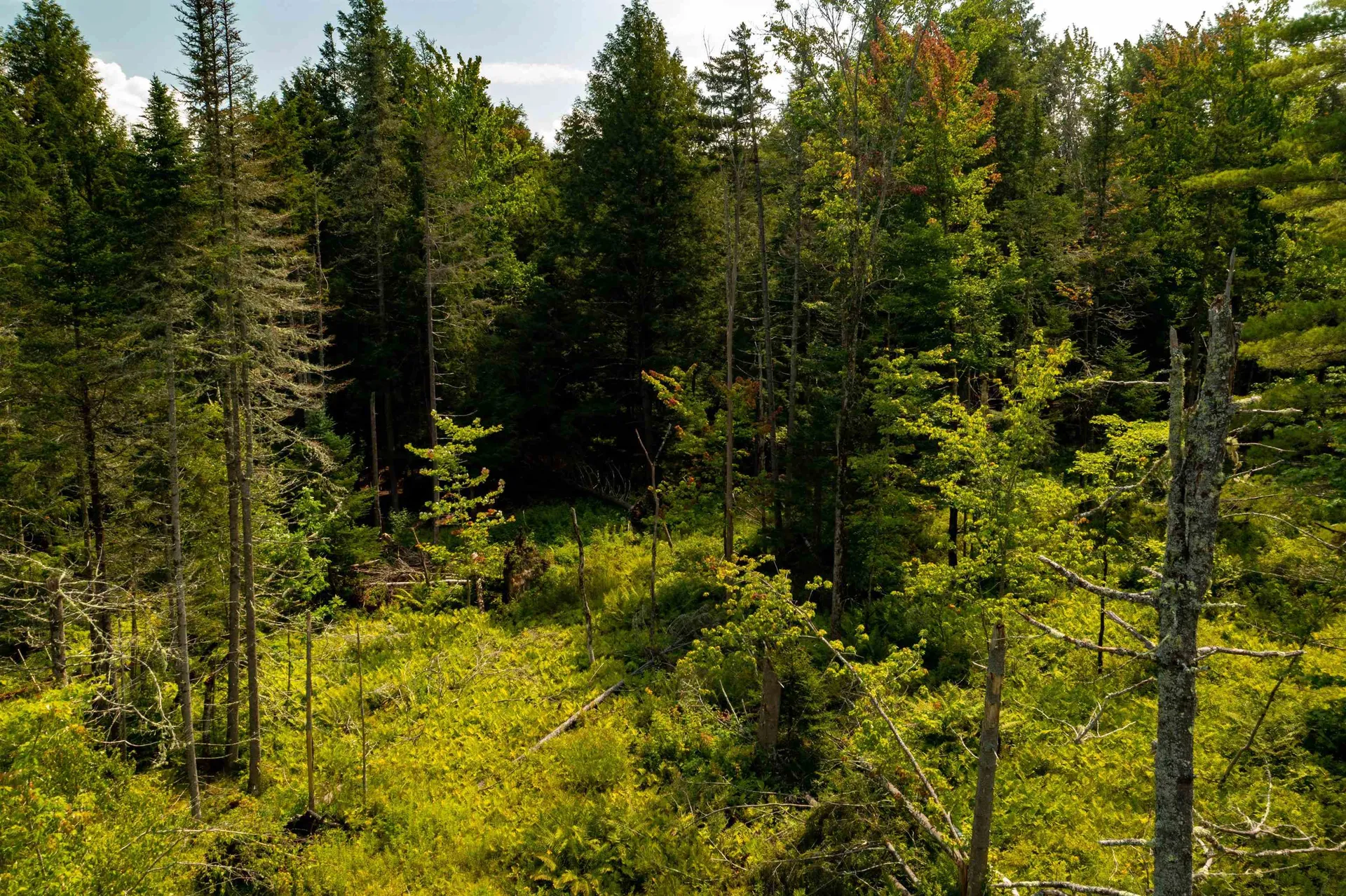 00 Gallup Road Morristown VT 05661