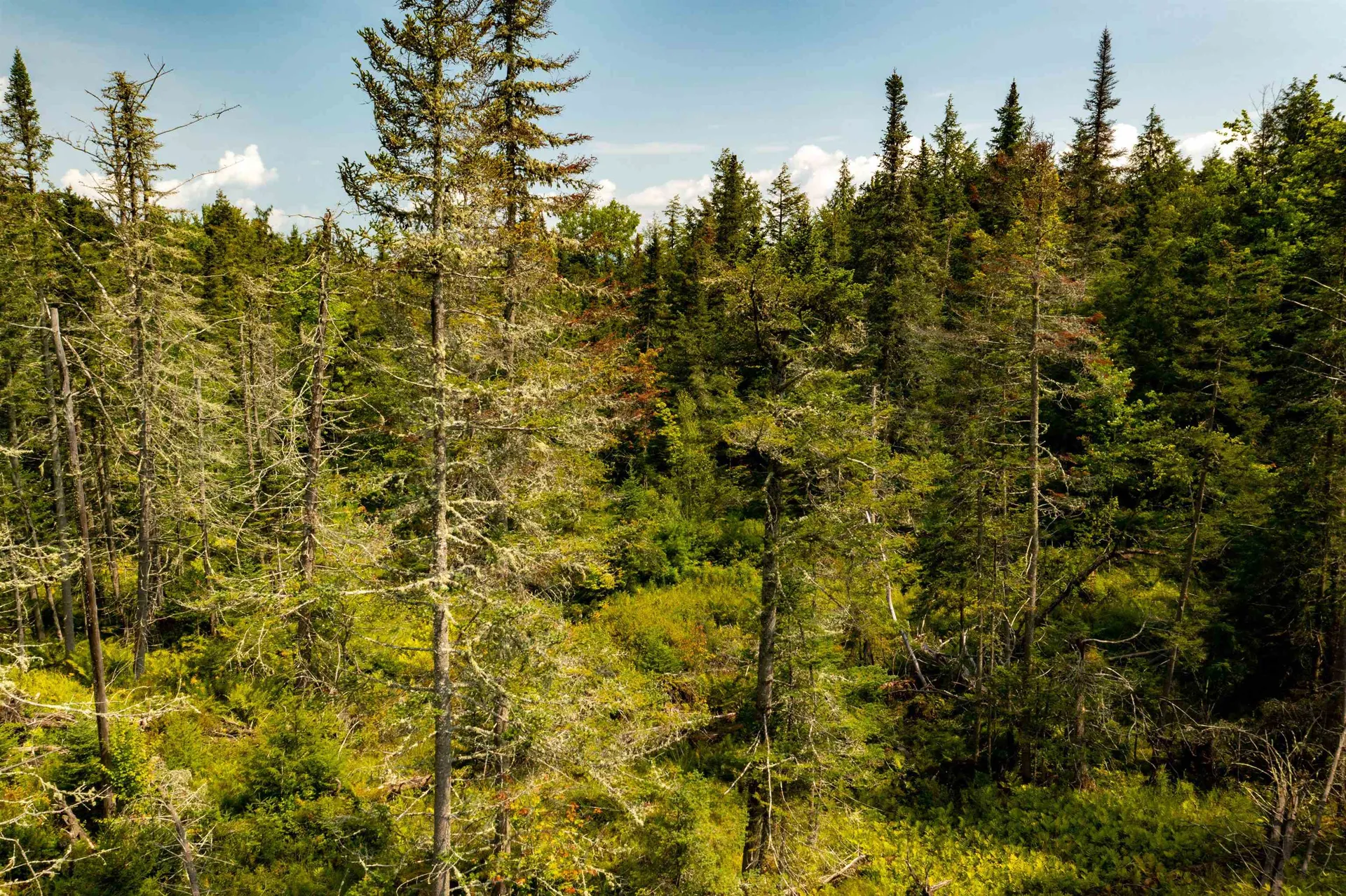 00 Gallup Road Morristown VT 05661