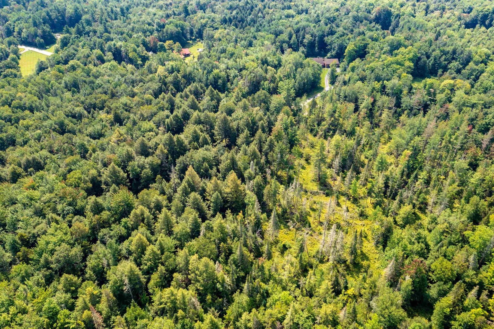 00 Gallup Road Morristown VT 05661