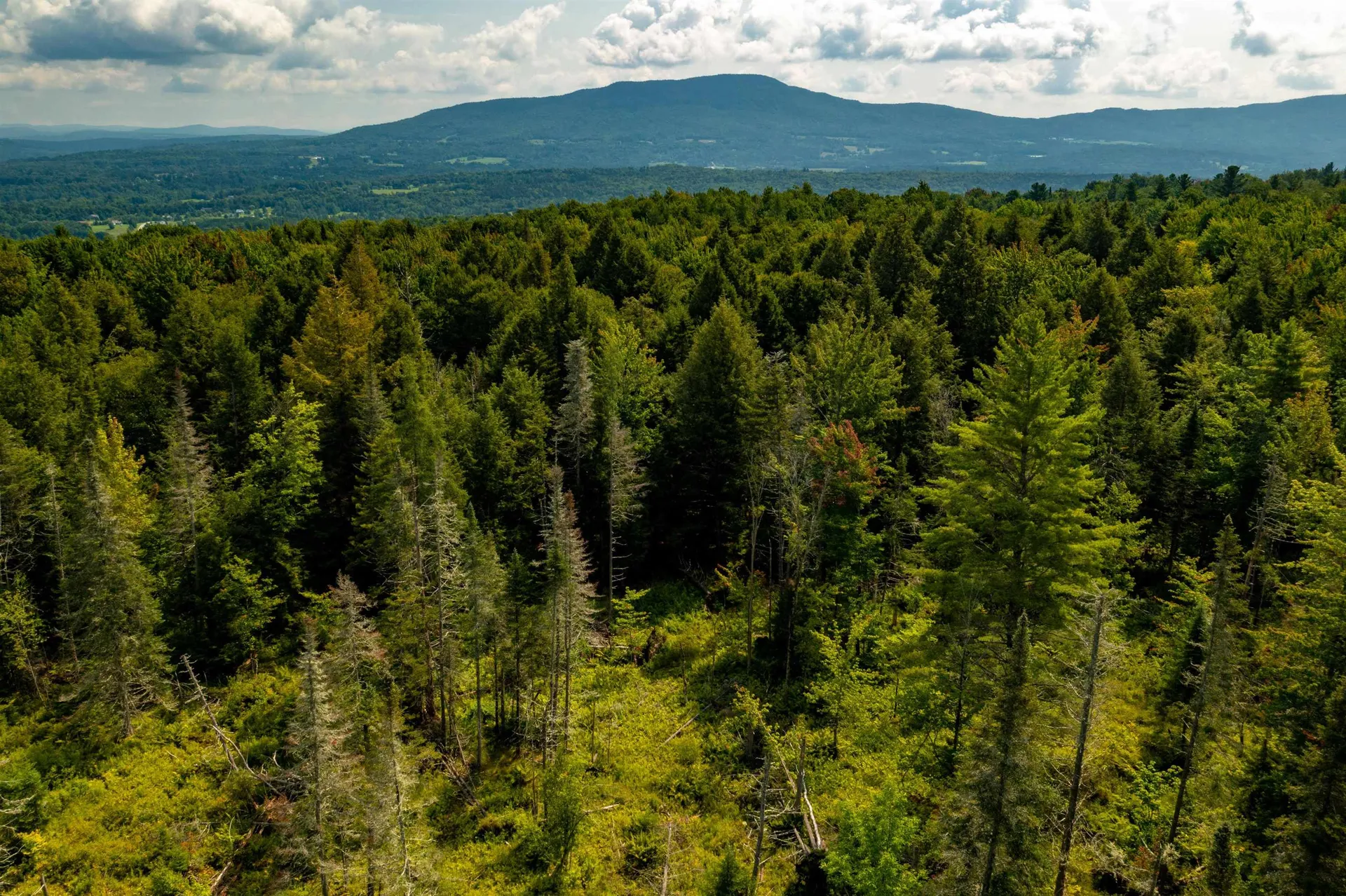 00 Gallup Road Morristown VT 05661