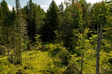 00 Gallup Road Morristown VT 05661