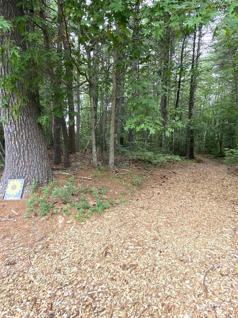 7 Sandy Brook Lane Londonderry NH 03053
