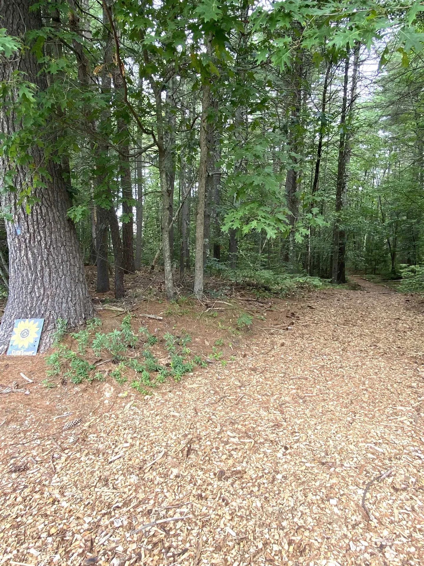 7 Sandy Brook Lane Londonderry NH 03053
