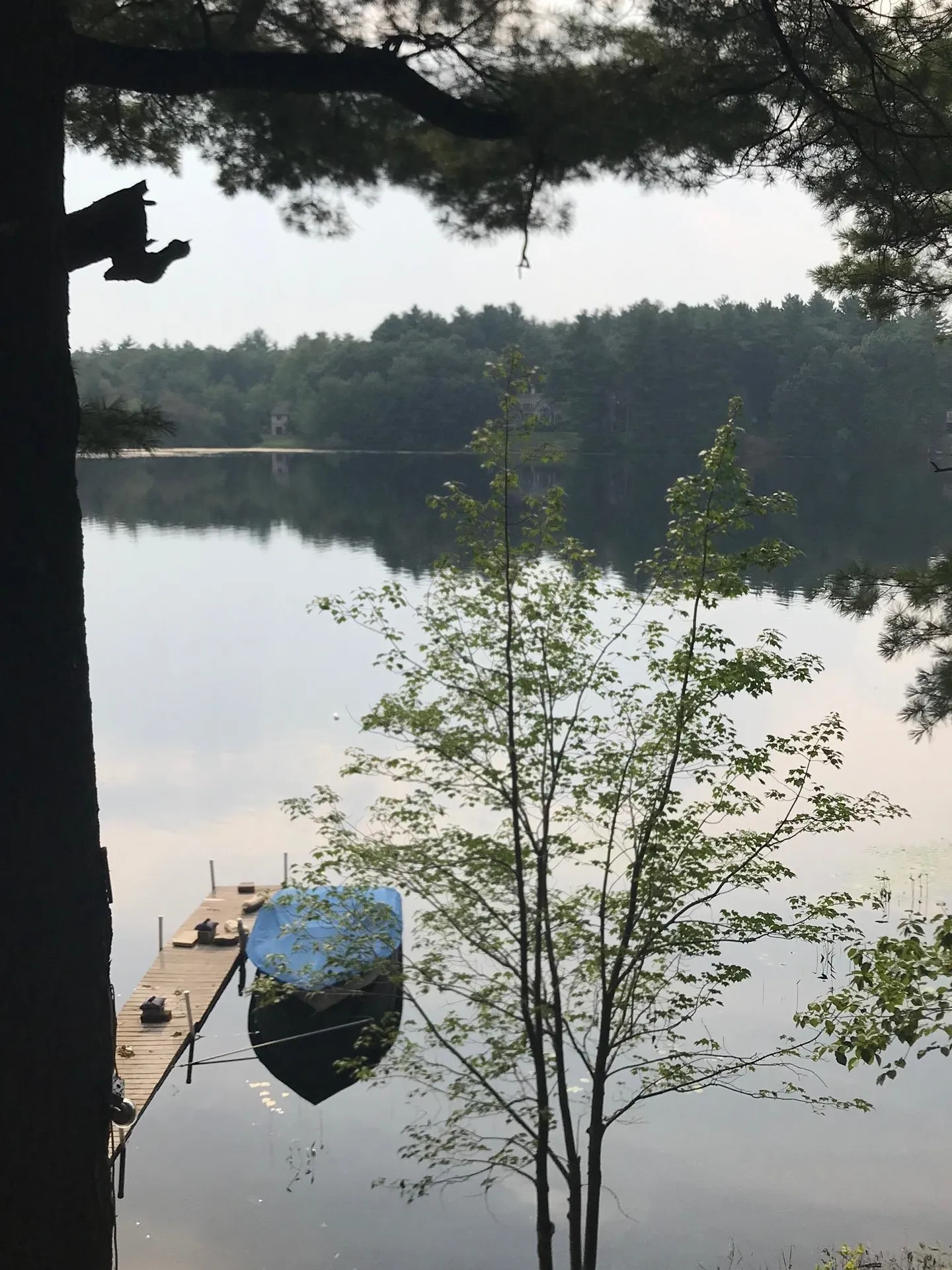 16 Wilders Grove Road Newton NH 03858