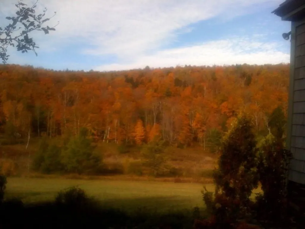 3759 Royalton Turnpike Road Barnard VT 05031