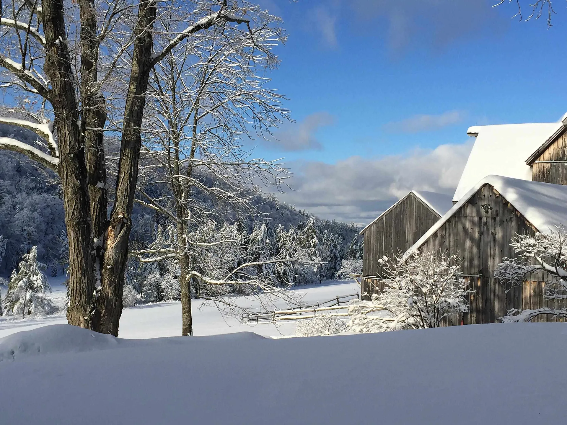 3759 Royalton Turnpike Road Barnard VT 05031