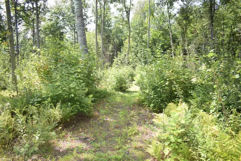 62 Mount Misery Road Littleton NH 03561