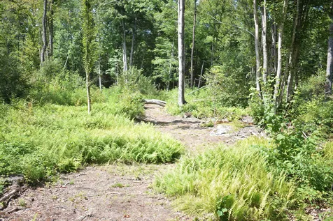 62 Mount Misery Road Littleton NH 03561
