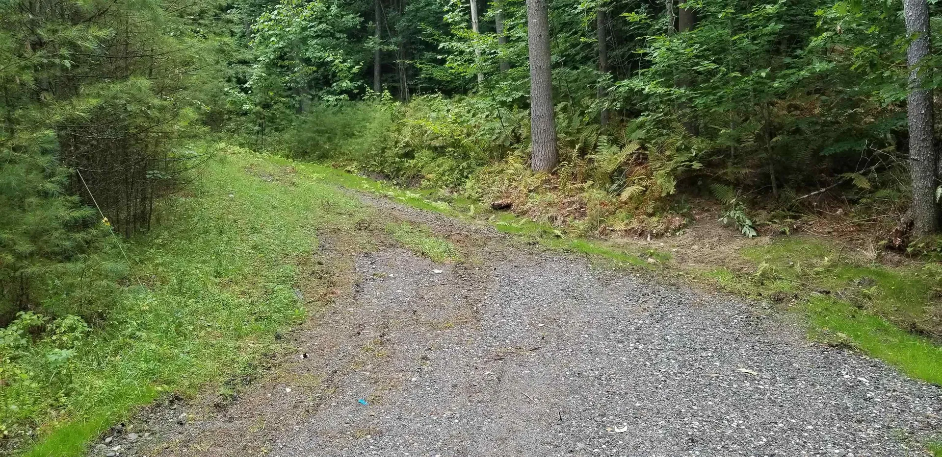 00 New Boston Road Norwich VT 05055