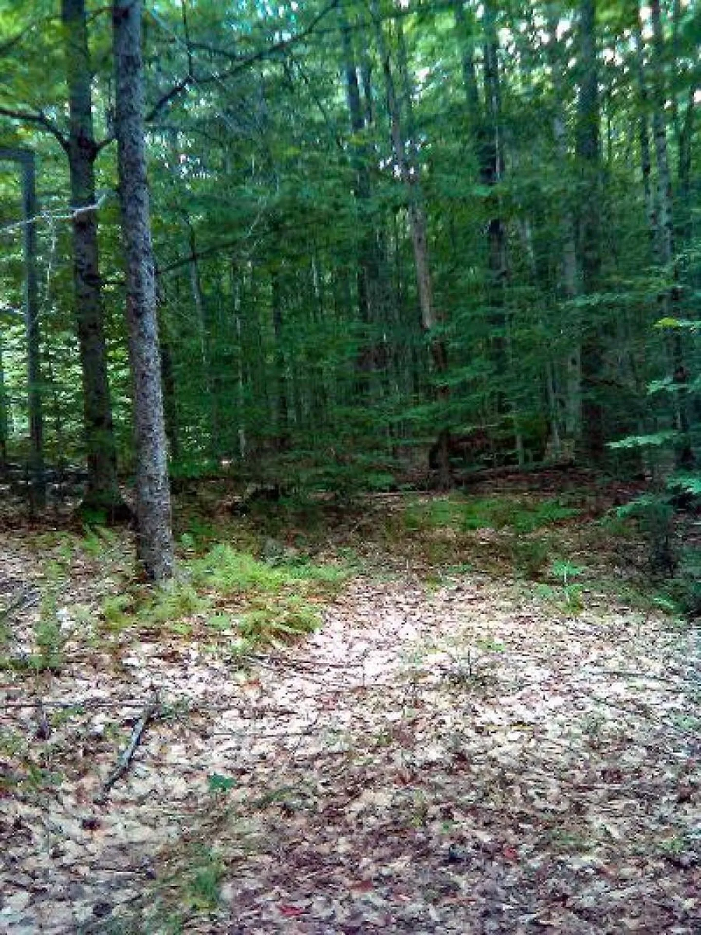 300 Moise Wood Road Brighton VT 05846