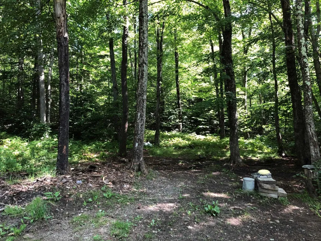 4028 Ireland Road Starksboro VT 05487