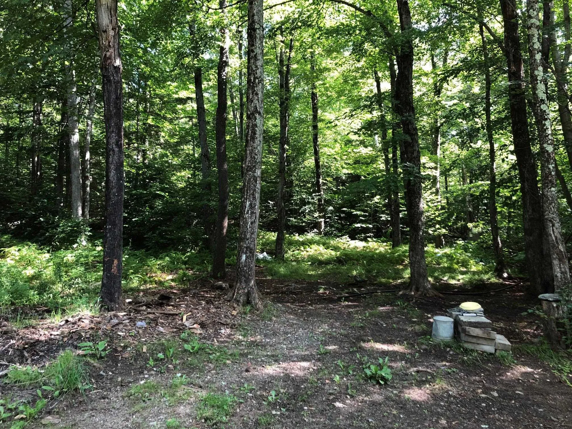 4028 Ireland Road Starksboro VT 05487