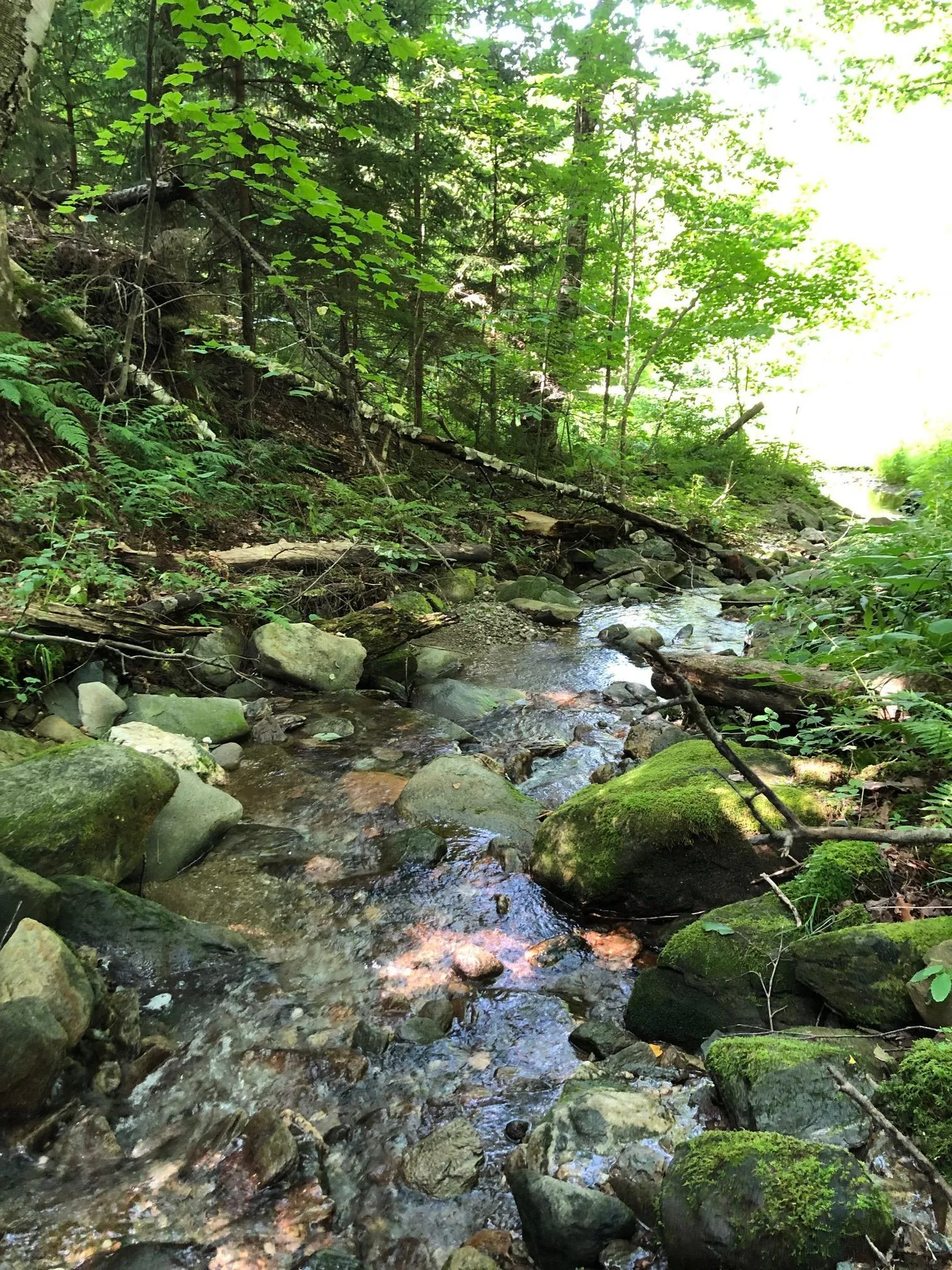4028 Ireland Road Starksboro VT 05487