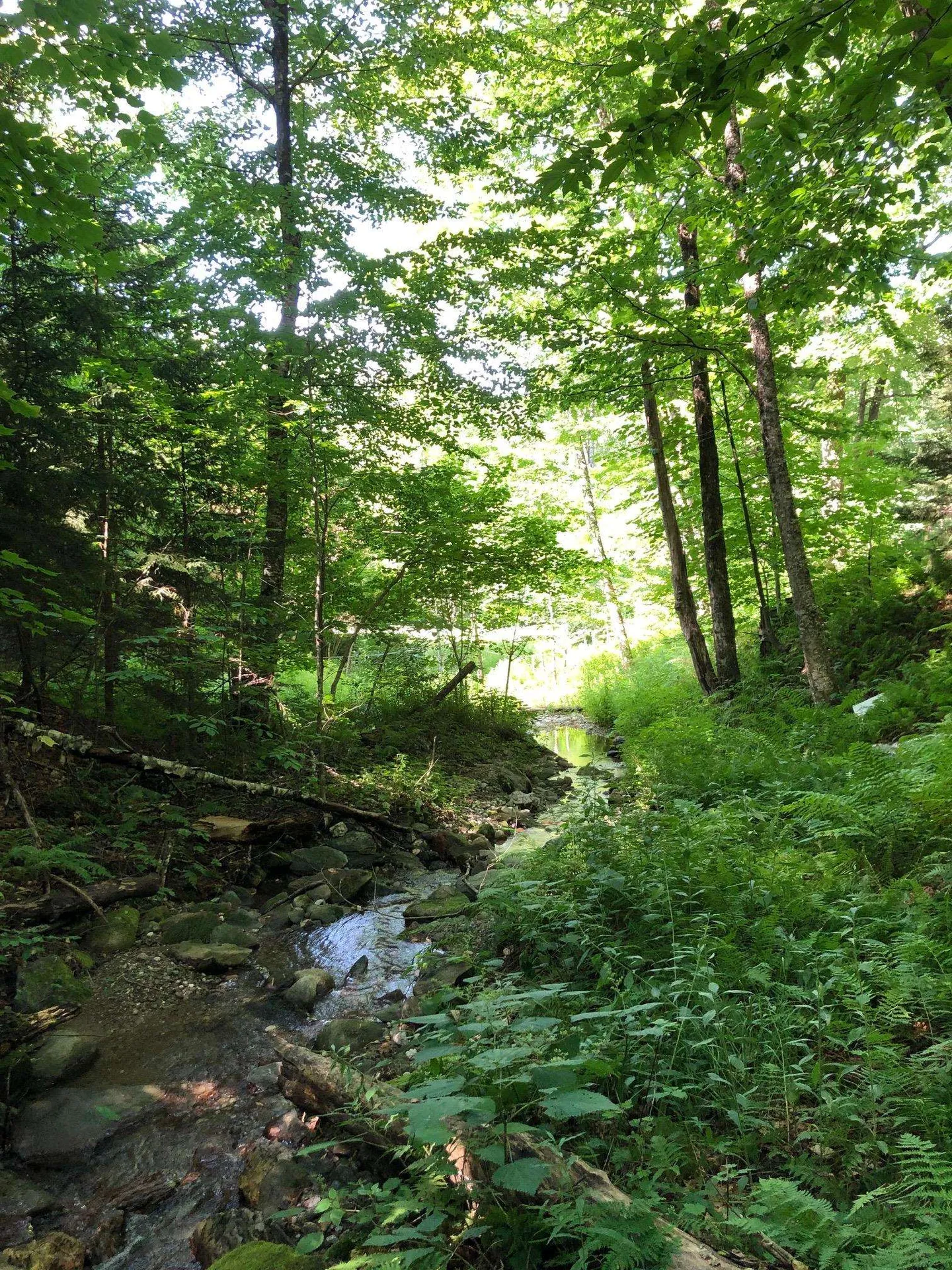 4028 Ireland Road Starksboro VT 05487