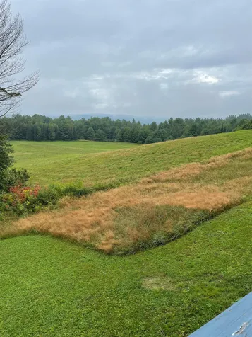 1098 Lower Road Plainfield VT 05667