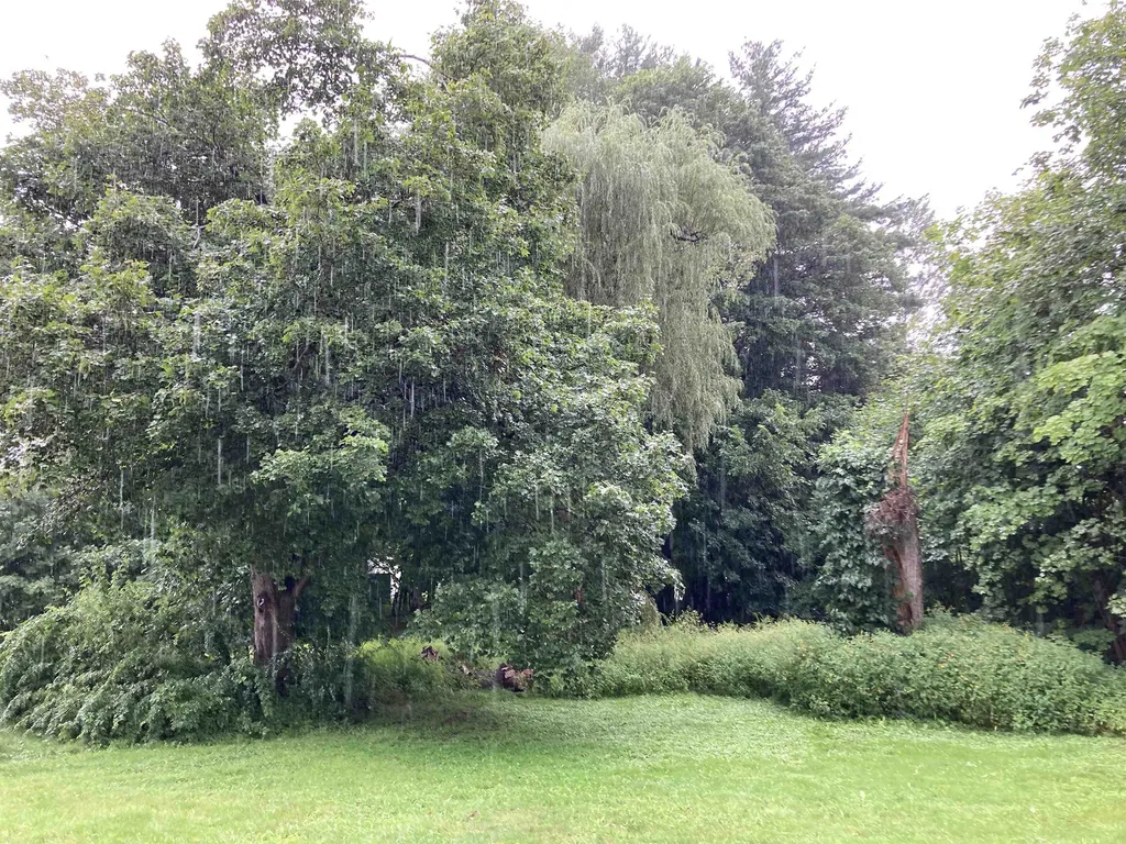 7 Butler Avenue Hillsborough NH 03244