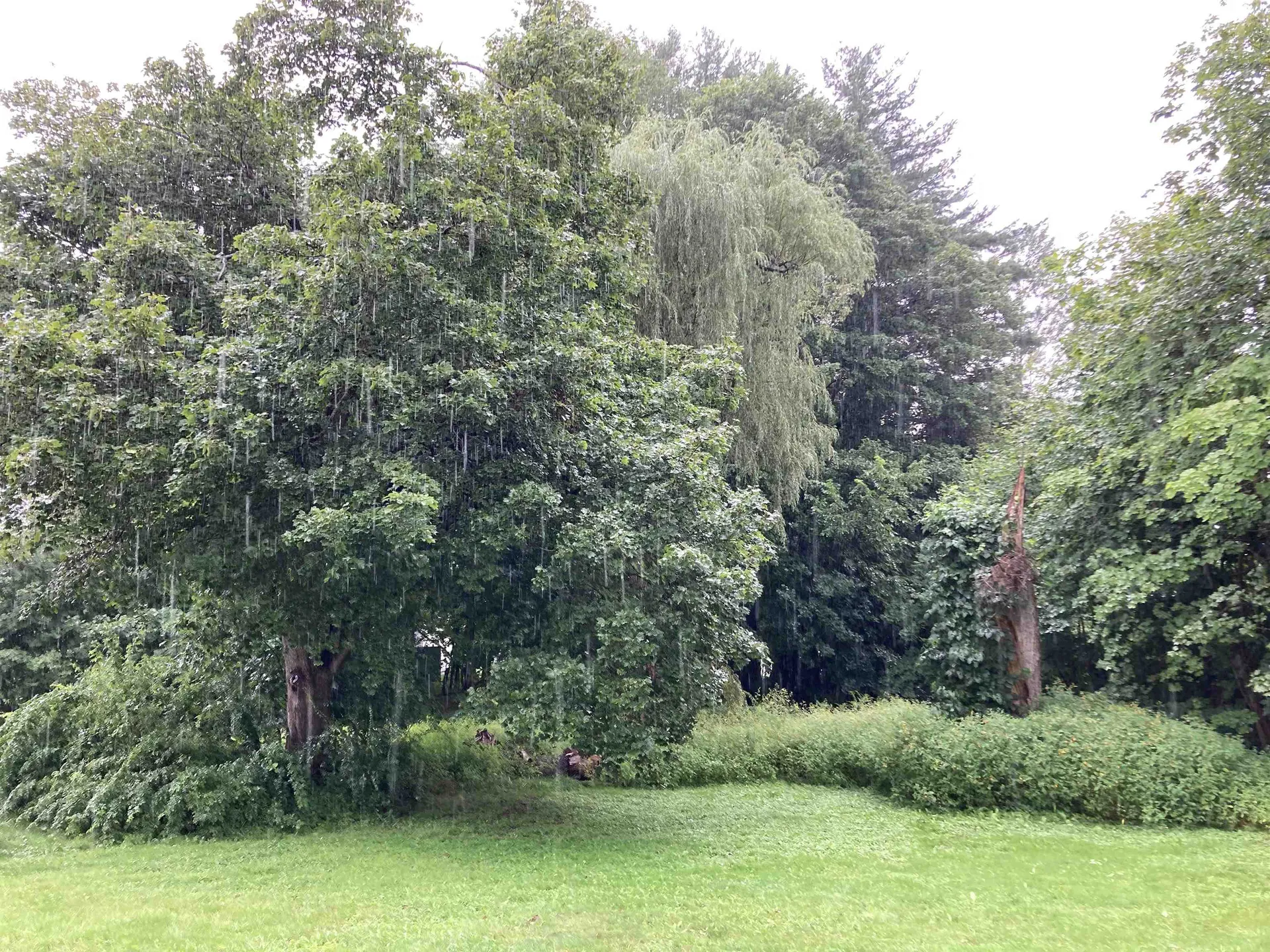 7 Butler Avenue Hillsborough NH 03244