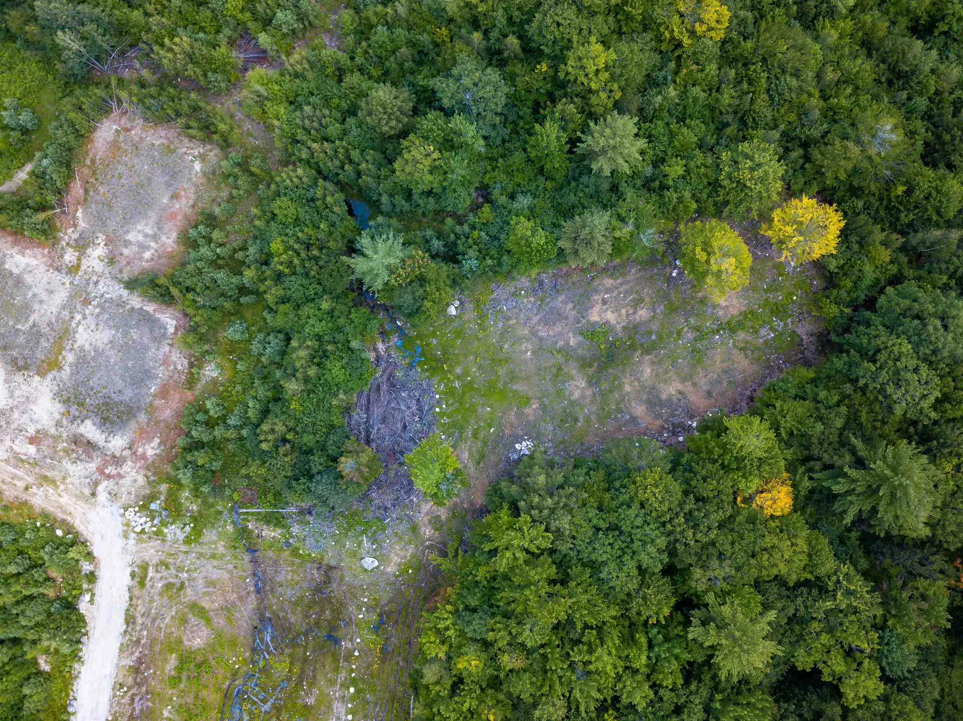 17 Skyline Way Madison NH 03849