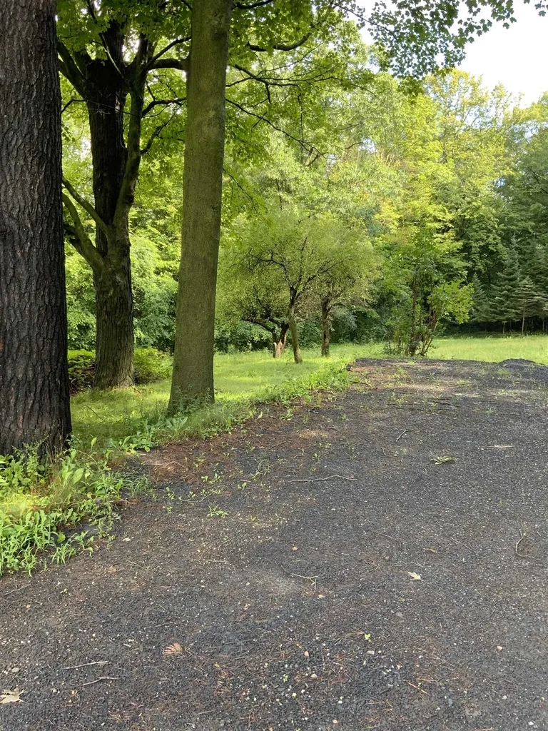 138 Elmendorf Road Shoreham VT 05770