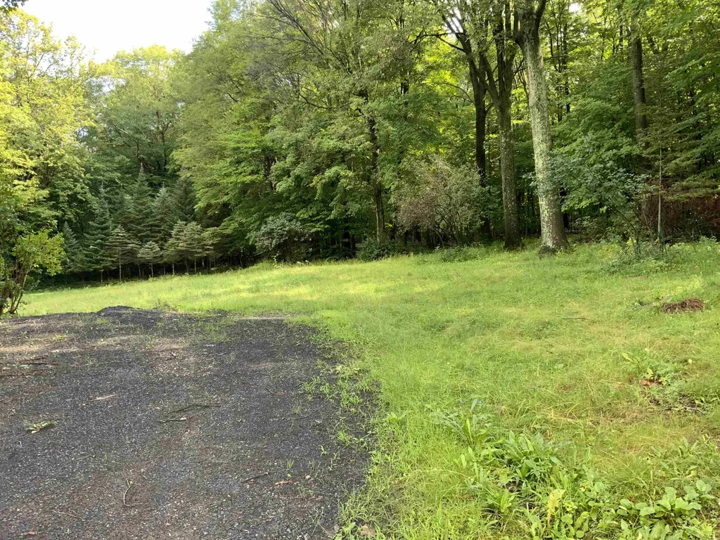 138 Elmendorf Road Shoreham VT 05770