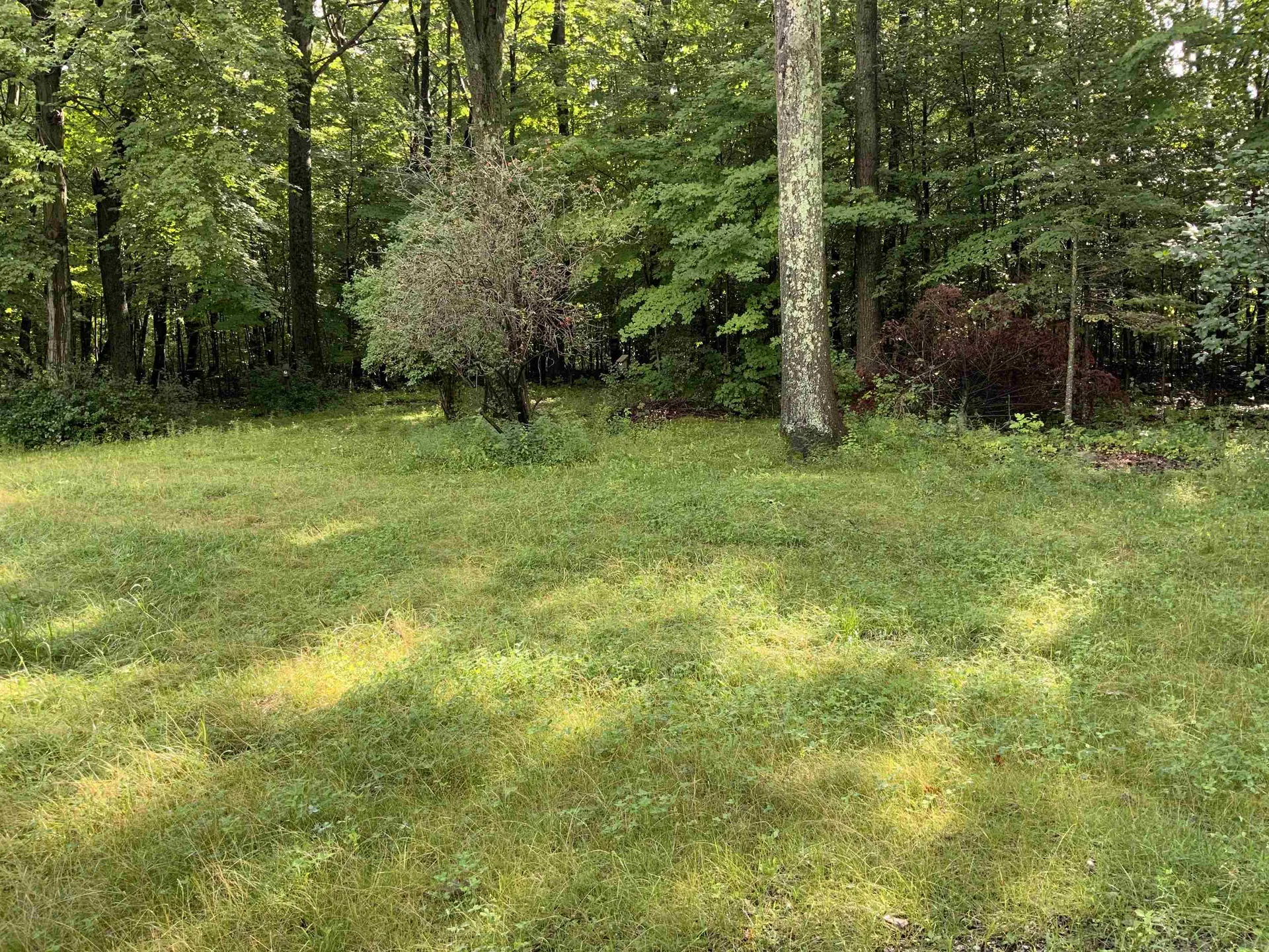 138 Elmendorf Road Shoreham VT 05770