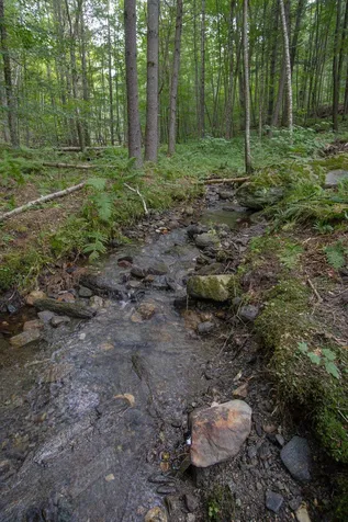 627 Hague Road Dummerston VT 05301