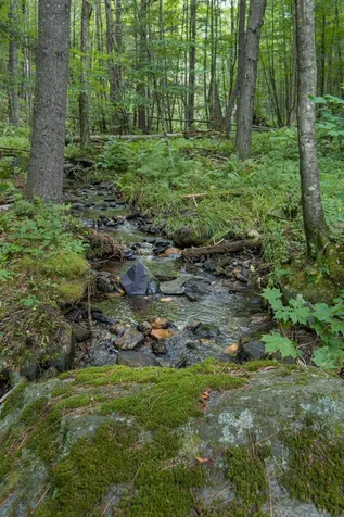 627 Hague Road Dummerston VT 05301