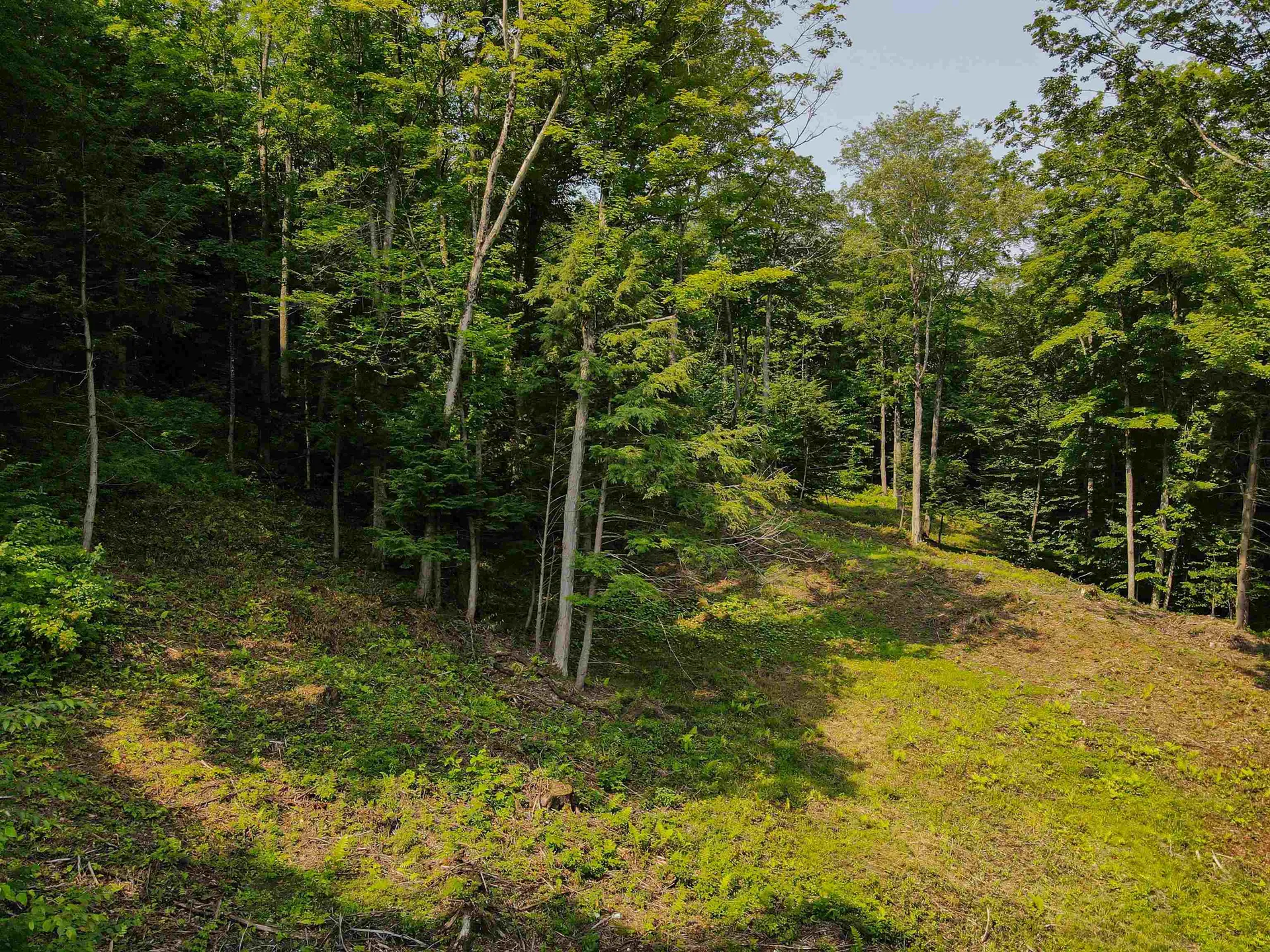 Lot 13 Luke's Lane Sharon VT 05068