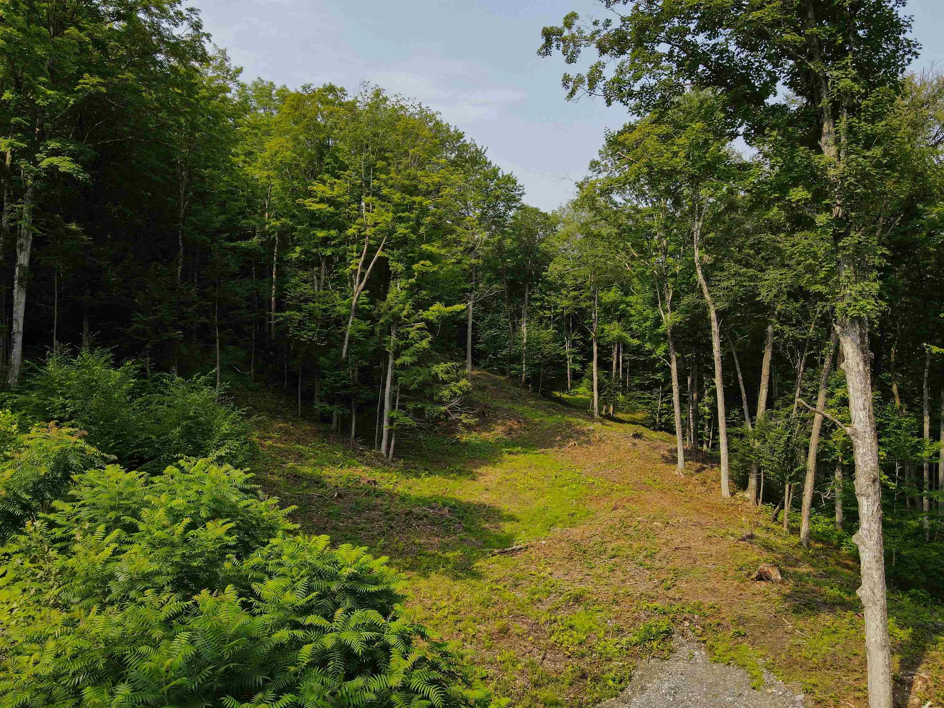 Lot 13 Luke's Lane Sharon VT 05068