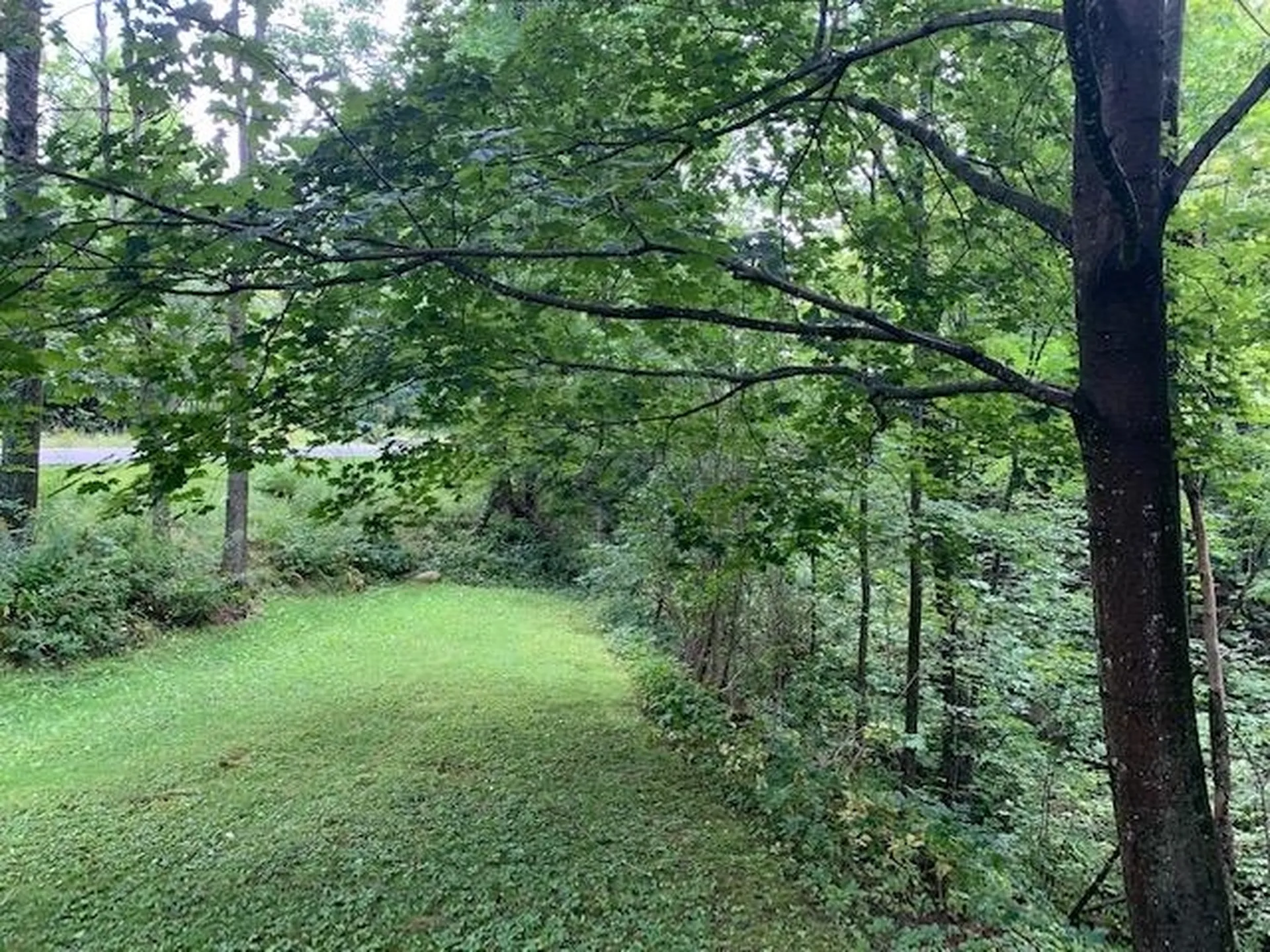 4259 Hartland Hill Road Woodstock VT 05091
