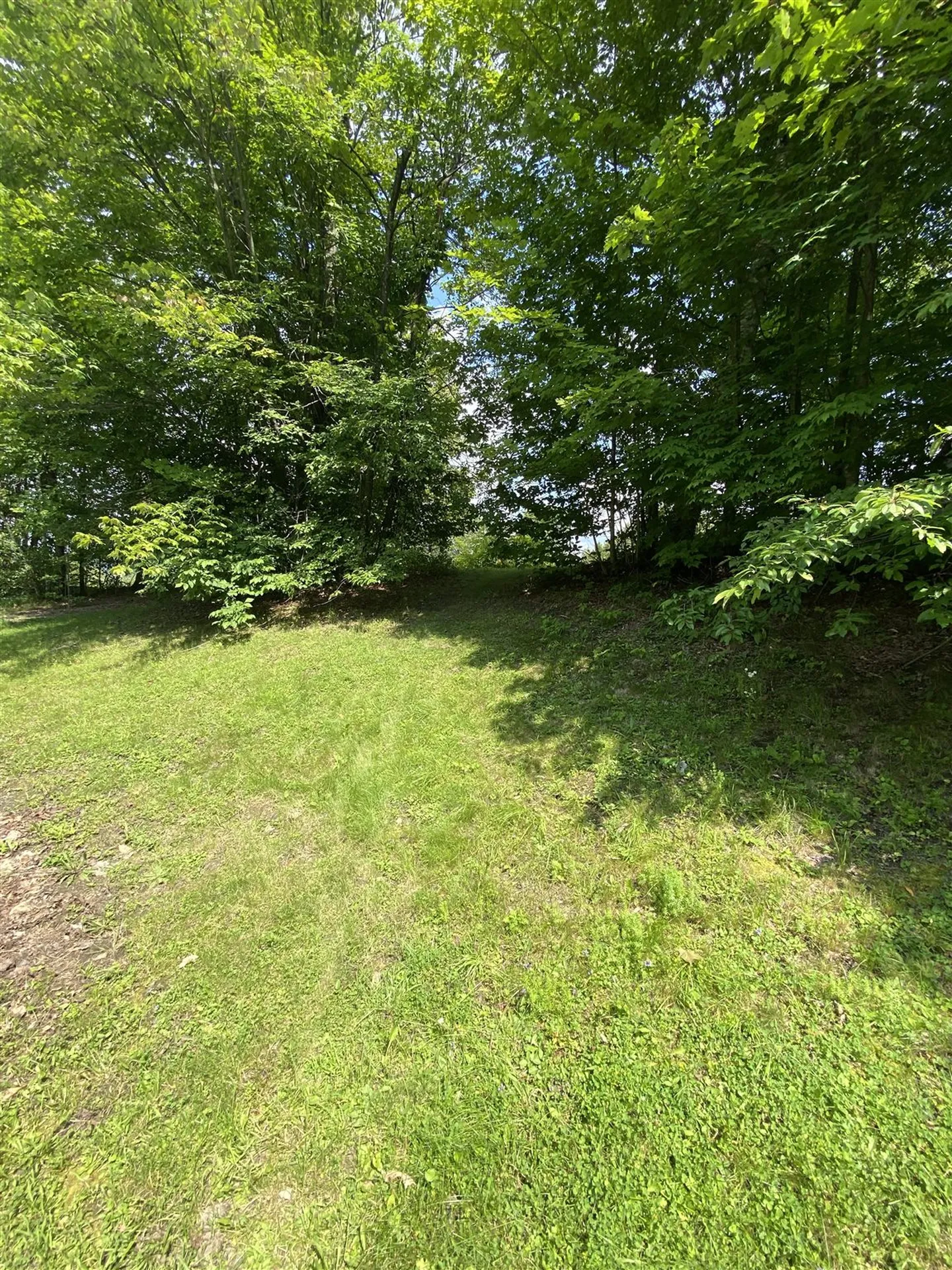396 Rand Road Randolph VT 05061