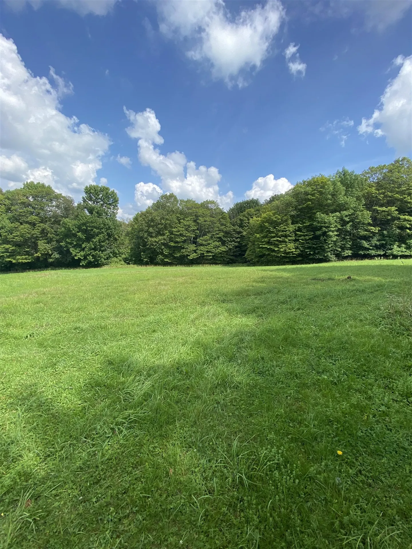 396 Rand Road Randolph VT 05061
