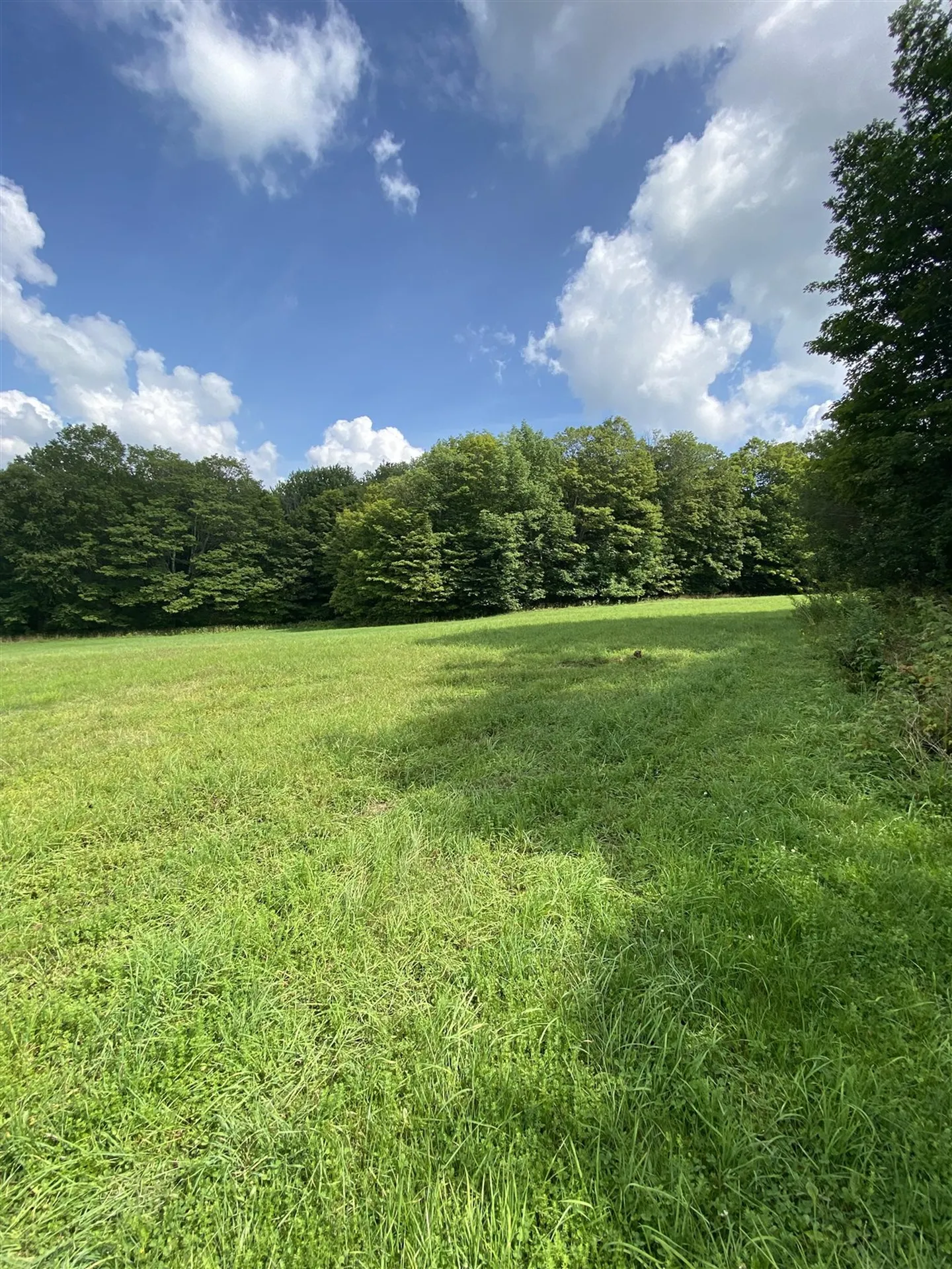 396 Rand Road Randolph VT 05061