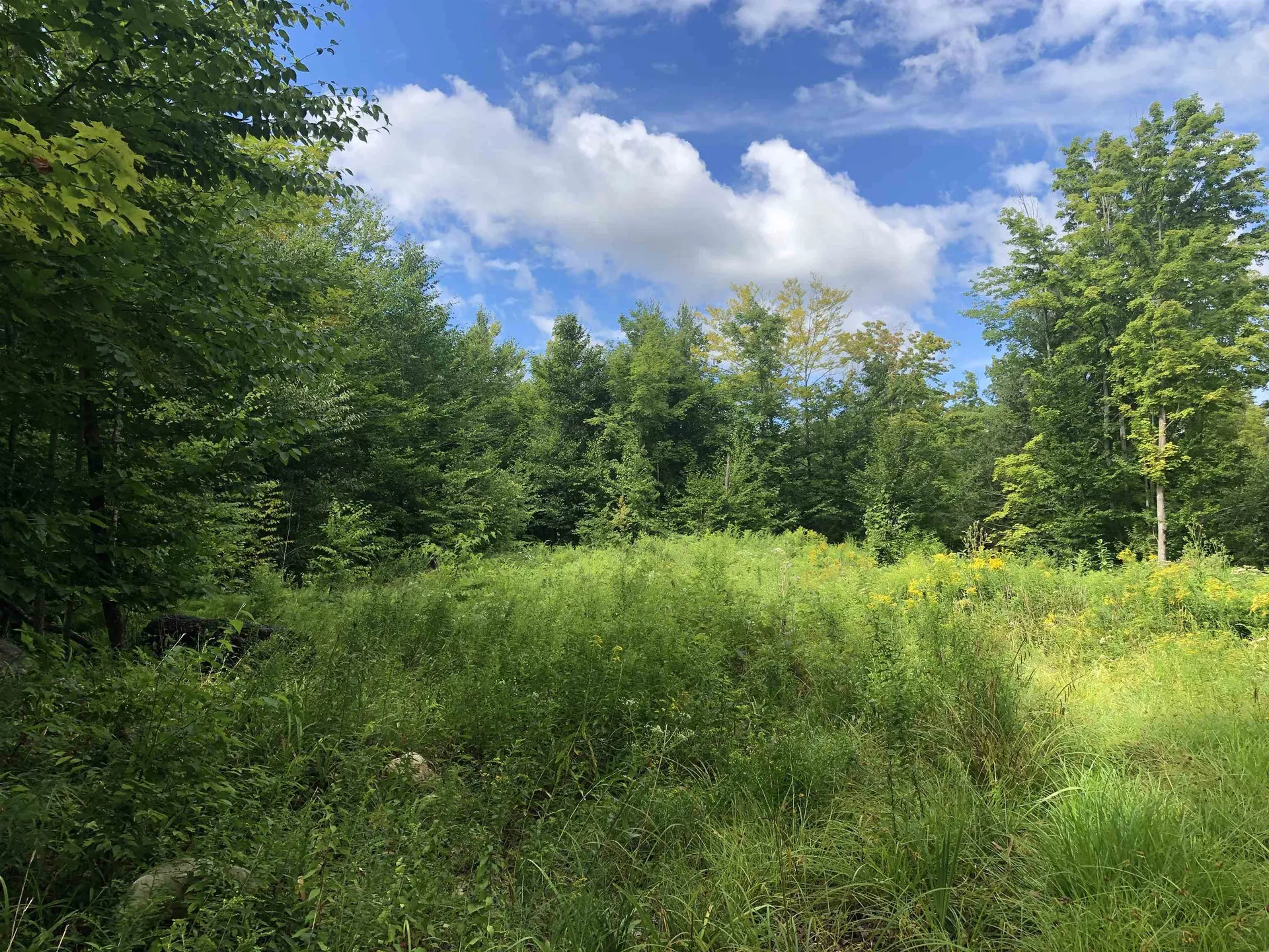 103 Middle Road Deerfield NH 03037