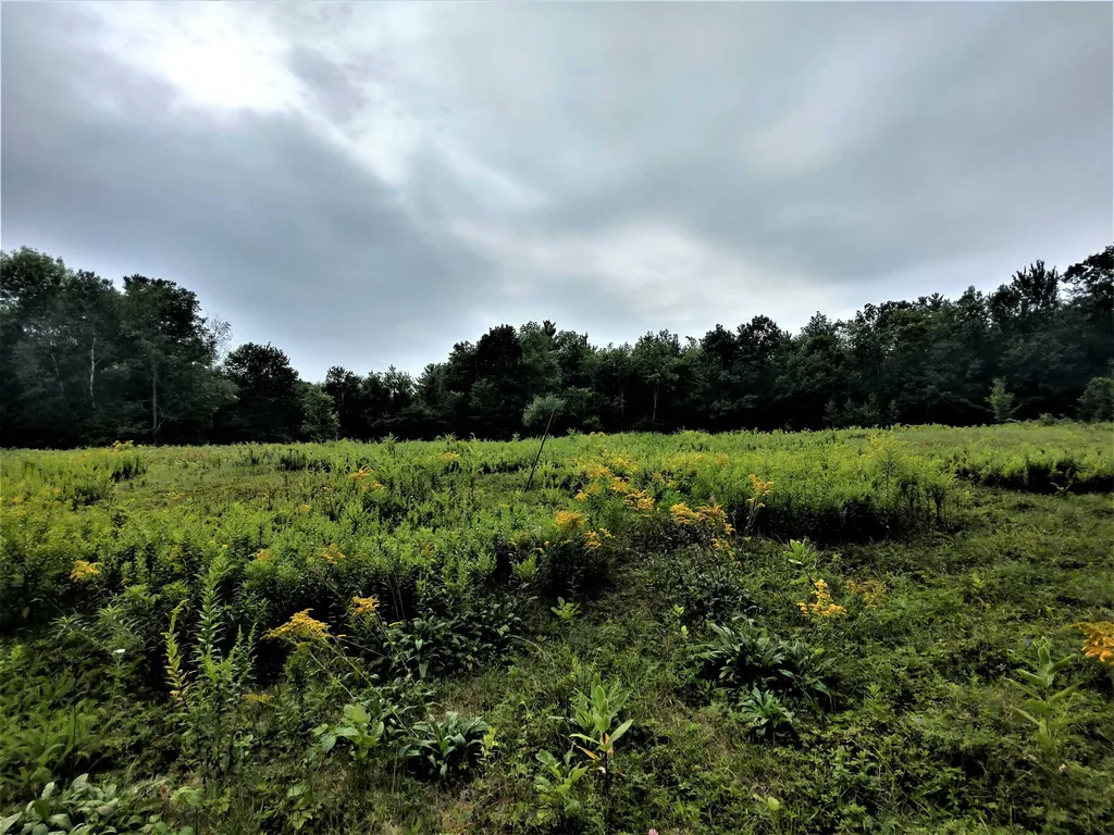 350 Woodward Road Haverhill NH 03774-4681