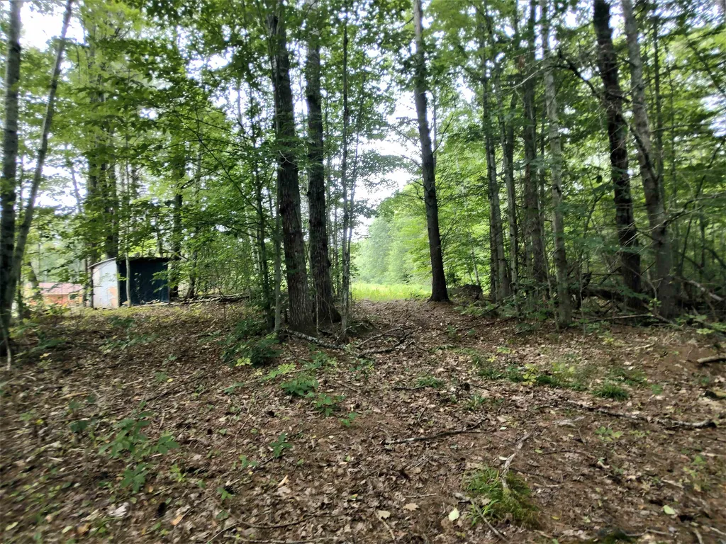 350 Woodward Road Haverhill NH 03774-4681