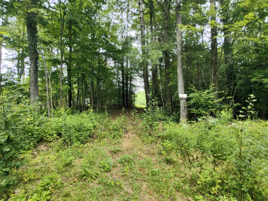 350 Woodward Road Haverhill NH 03774-4681
