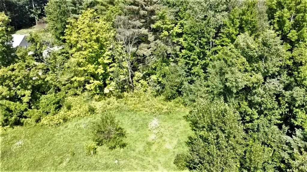 350 Woodward Road Haverhill NH 03774-4681
